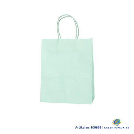 12x Papieren tas gedraaid handvat - 22cm x 27cm x 11cm Licht Groen 