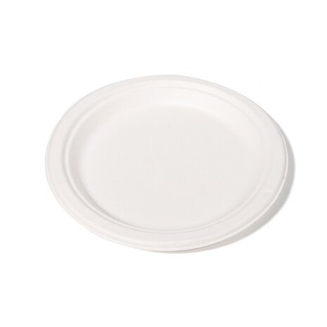 500x Bord &Oslash;22 cm suikerriet BIO bagasse Plasticvrij