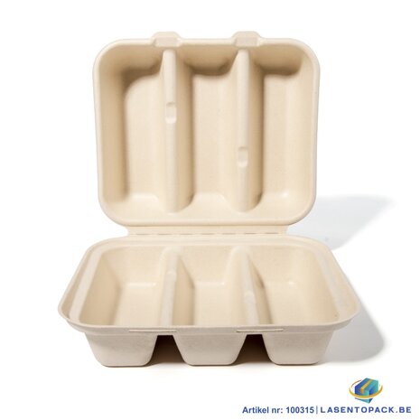 200x Taco Box voor takeaway van suikerriet (BIO) &ndash; 212mm x 183mm x 82mm